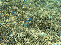 Ȃ񂳂̐Ί_V[T[ւ̓eʐ^2