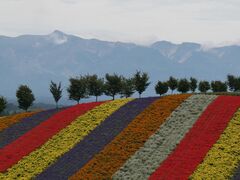 Koko����̎l�G�ʂ̋u�ւ̓��e�ʐ^1