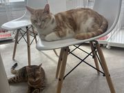 ̂͂ҁ[񂾂ӂ̓eʐ^4