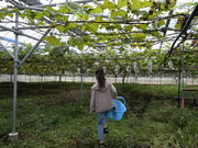 MitsûԂǂ@˖{̓eʐ^2