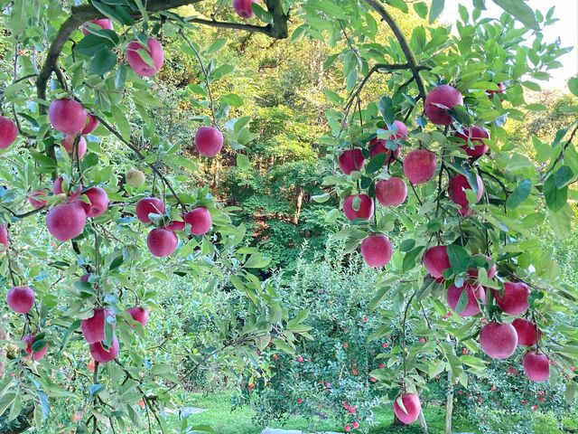 40𒴂i킪͔|Ă邻łB_ʎ