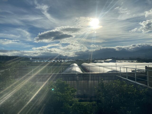 ���h�F�{��`�z�e�� �G�~�i�[�X_���h�F�{��`�z�e�� �G�~�i�[�X