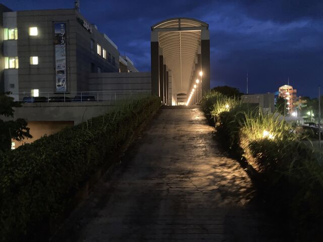 ���h�F�{��`�z�e�� �G�~�i�[�X_���h�F�{��`�z�e�� �G�~�i�[�X