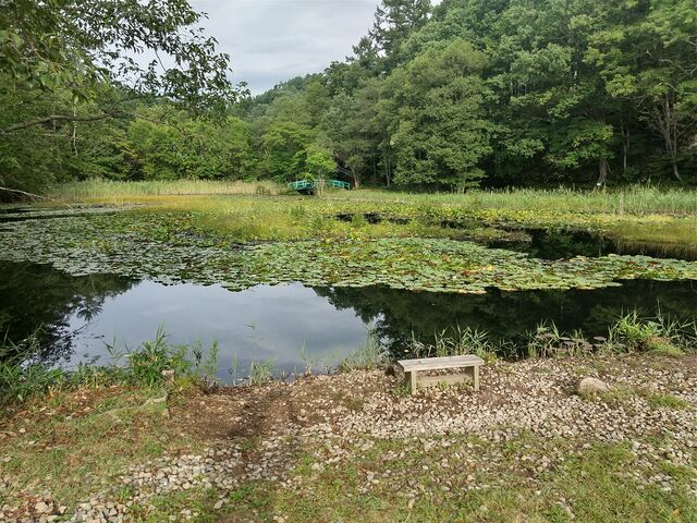 wi̒򃔃BbWX|[c̓eʐ^1