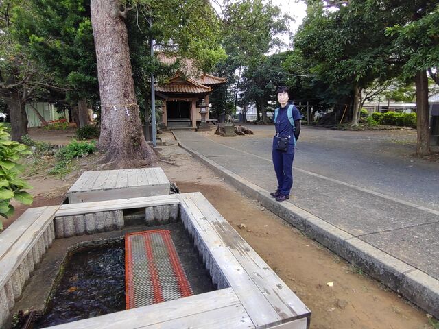 萅ɂ̎Oɑʂ̐No閑_q_