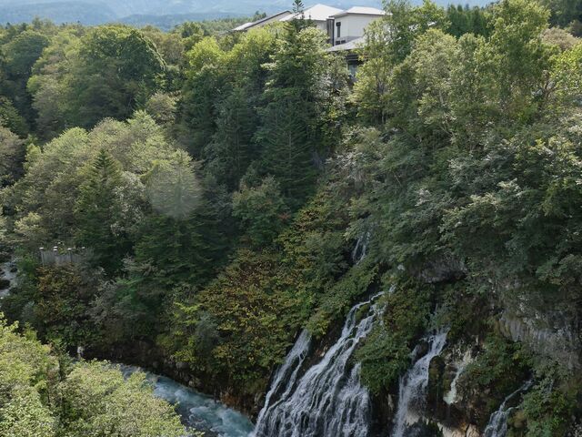 �R���݂������܂��B_���Ђ��̑�