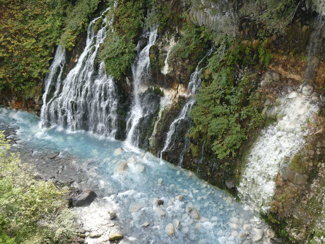 ��̐F�����ꂢ�B�����Ƃ��ꂢ�Ȏ�������݂����ł��B_���Ђ��̑�