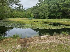 wi̒򃔃BbWX|[cւ̓eʐ^1