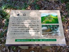 qf̍jՁ@ZRՂւ̓eʐ^5