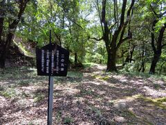 qf̍jՁ@ZRՂւ̓eʐ^6