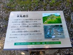 qf̍jՁ@ZRՂւ̓eʐ^8