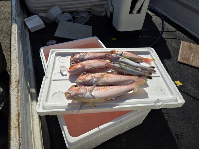 �喞��_��T��