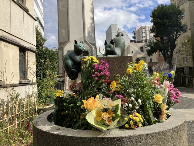 harusu����̉���@�̓��e�ʐ^4