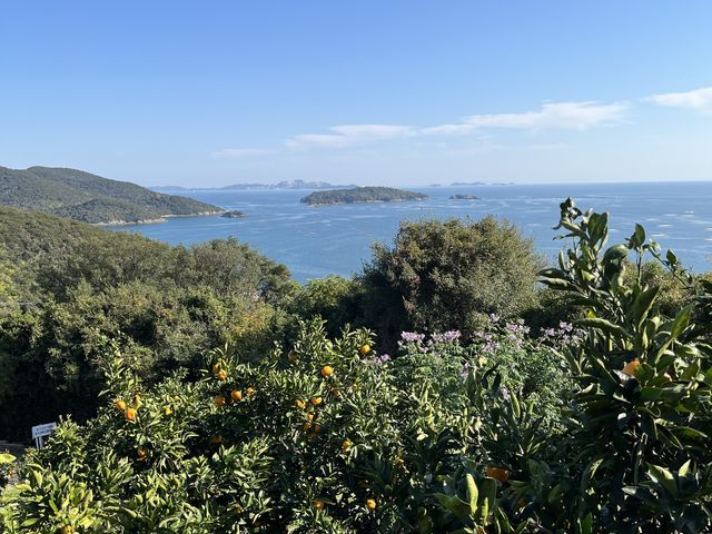 ̌iFȂɂf炵łI_݂̗E_