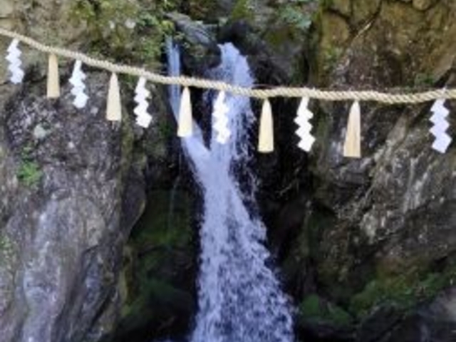 ���̑�i���_�̑�j_���̑�