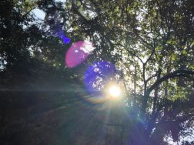 ���̑�i���_�̑�j_���̑�