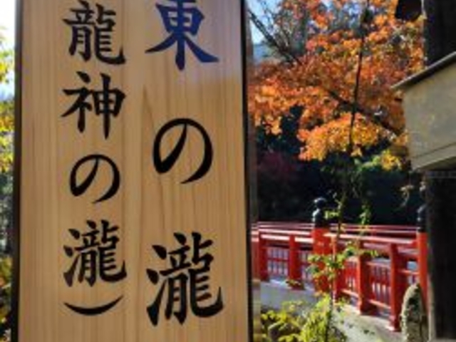 ���̑�i���_�̑�j_���̑�