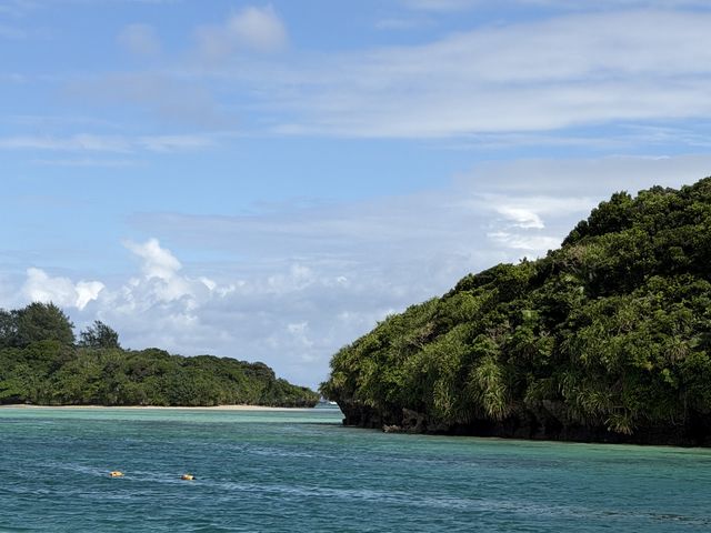 ���l�܂ōs�����i���ō����Y��ł��B_�܂��͂������邭��