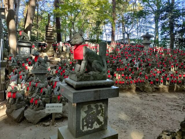 ���܂�̐��Ƀr�b�N���I_�L����