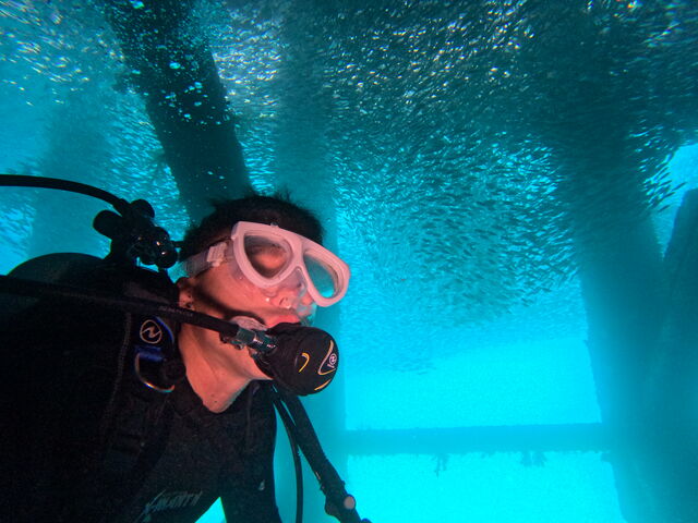 �K�`�����̌Q��ɑ����B_CHILL DIVE