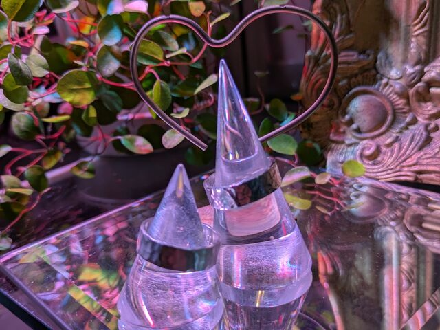 ʐ^B点Ă܂B_impera accessory