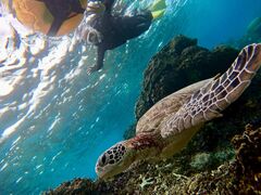 思い切って体験して大満足！ - COCO宮古島のクチコミ - じゃらんnet