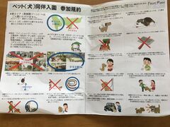 ��[����񂳂�̂͂܂܂t���[�c�p�[�N���V���ւ̓��e�ʐ^1