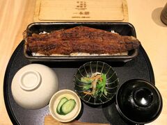 Ƃ񂳂̂Ȃlڋe wXւ̓eʐ^1