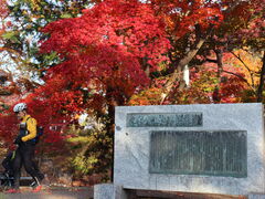 hydȅc̍gtւ̓eʐ^1