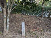 sora69jp����̉Y�ˏ�Ղ̓��e�ʐ^2