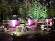 harusu����̂������܎s��{�~�͔��p�ق̓��e�ʐ^2