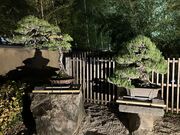 harusu����̂������܎s��{�~�͔��p�ق̓��e�ʐ^3