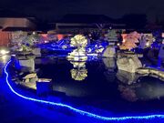 harusu����̂������܎s��{�~�͔��p�ق̓��e�ʐ^5