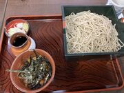 harusu����̌��\�j������ �ʉ��̓��e�ʐ^5