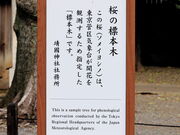 �Ƃ�����񂳂�̖����_�Ђ̍��̓��e�ʐ^2