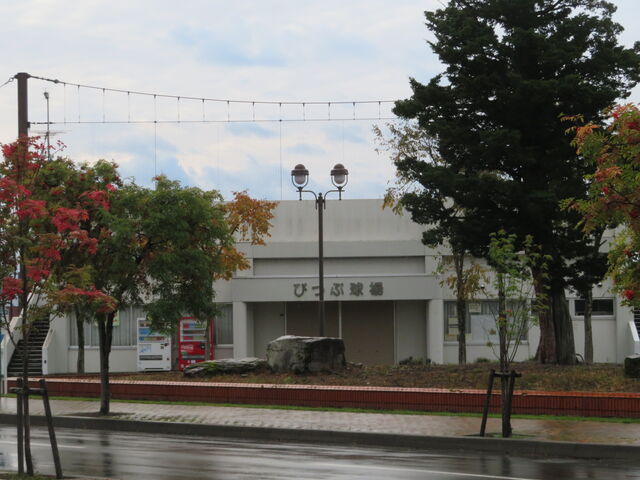 �L������̔�z���S�N�L�O�����̓��e�ʐ^2