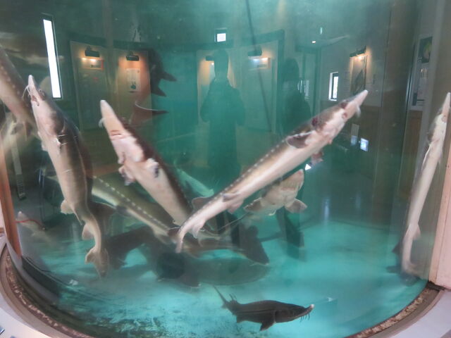 ���[�`���E�U����_���[�`���E�U����