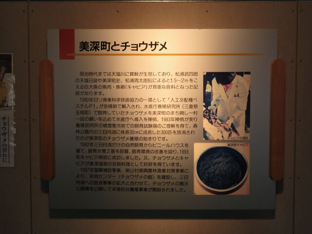 ���[�`���E�U����_���[�`���E�U����