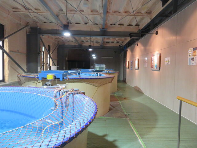 ���[�`���E�U����_���[�`���E�U����