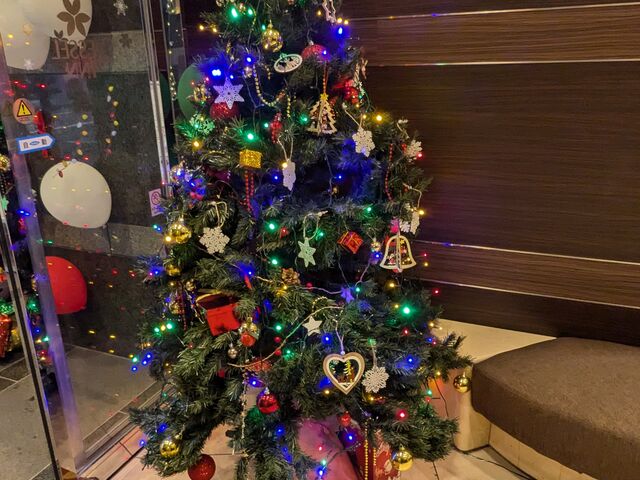 �z�e�������̓c���[�̏���t��_�x�b�Z���C�������J�w�O