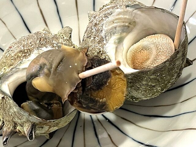 ���傤��������̂䂫�E���H�����̓��e�ʐ^2