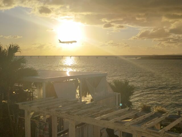 �ߔe��`���߂��̂ŗ[���Ɣ�s�@�̎ʐ^���B��܂�_�������E�~�J�W�e���X