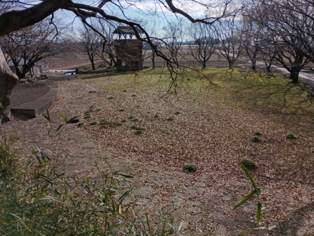 ������������̈ɓޏ�Ղ̓��e�ʐ^4