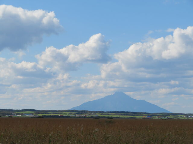 �L������̃T���x�c�����̓��e�ʐ^3