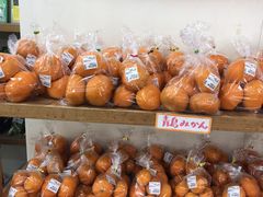 funixya����̔_�Y���������@�{�̗��ւ̓��e�ʐ^1