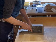 �y���Γ���z�^�J�N�m�J���\�o�v�q���|���X�̎ʐ^1