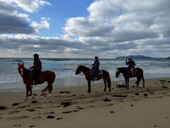 �J�i�f�B�A���L�����v��n�N���u�̎ʐ^1