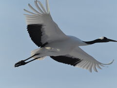 �t�H�g�c�A�[~KEARASHI~�̎ʐ^1