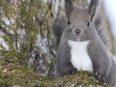 �t�H�g�c�A�[~KEARASHI~�̎ʐ^3