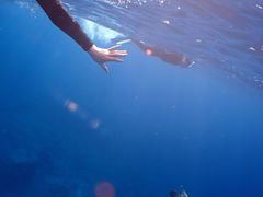 �V��������̃`�����u���[�ւ̓��e�ʐ^1